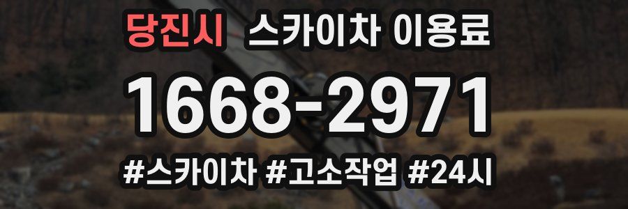 당진시 스카이차 이용료