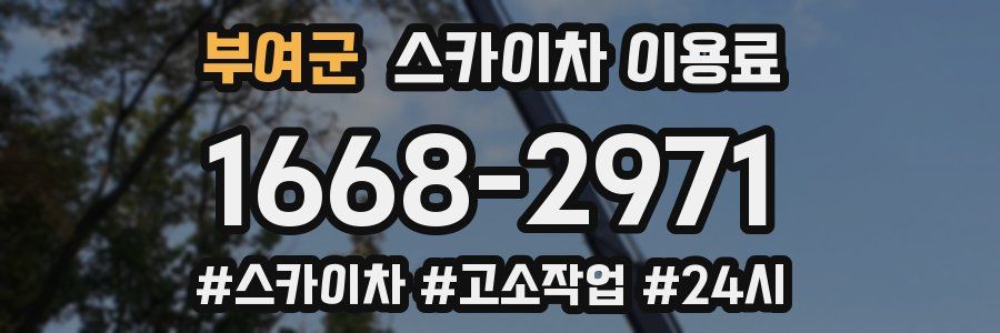 부여군 스카이차 이용료