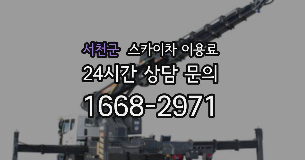 서천군 스카이차 이용료