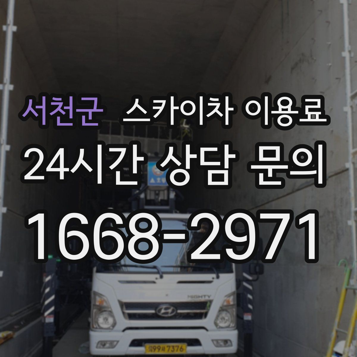 서천군 스카이차 이용료