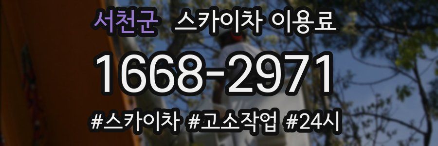 서천군 스카이차 이용료