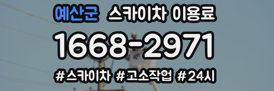 예산군 스카이차 이용료