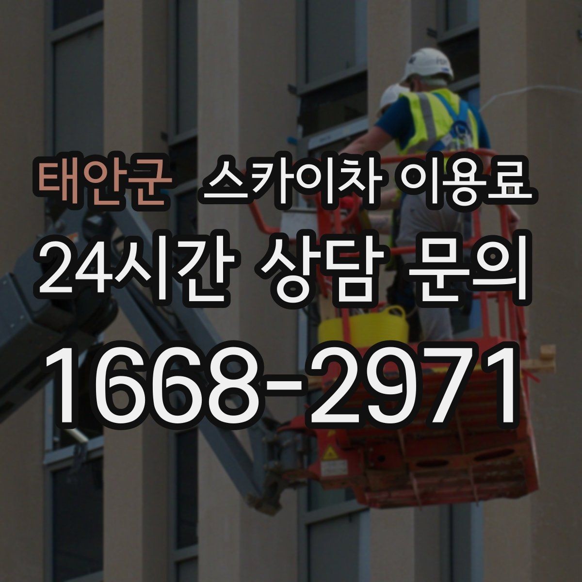 태안군 스카이차 이용료 확인 전 알아야 할 기본 정보