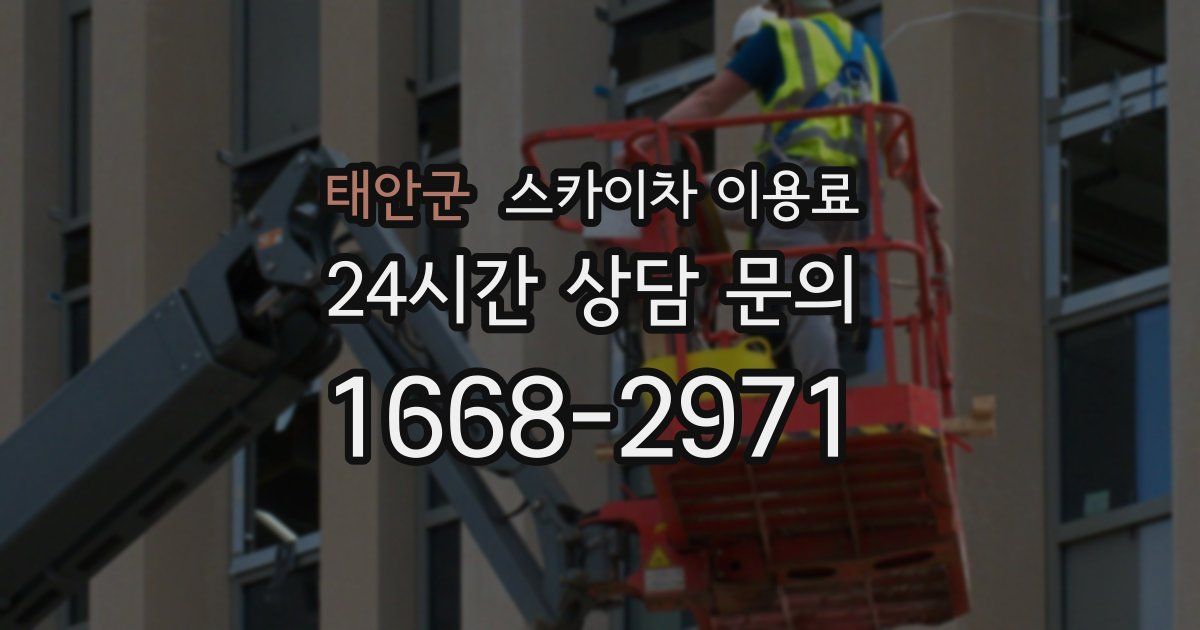 태안군 스카이차 이용료
