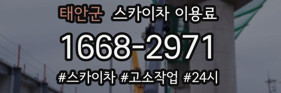 태안군 스카이차 이용료