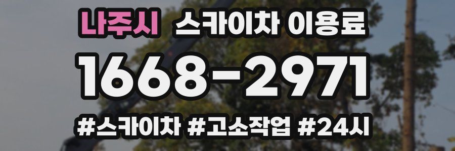 나주시 스카이차 이용료