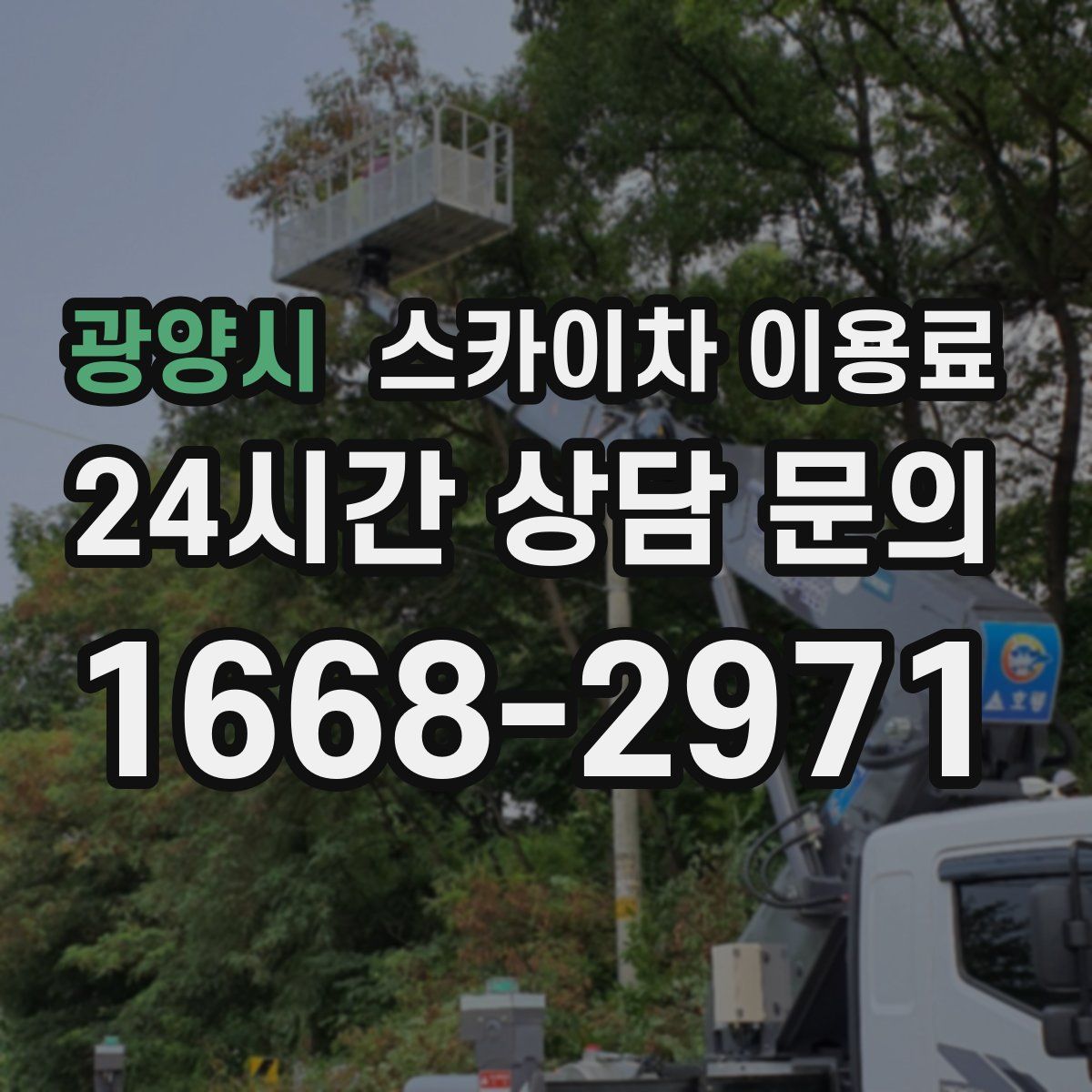 광양시 스카이차 이용료