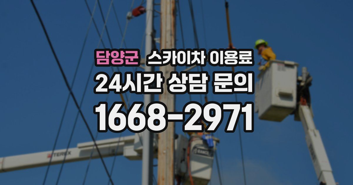 담양군 스카이차 이용료