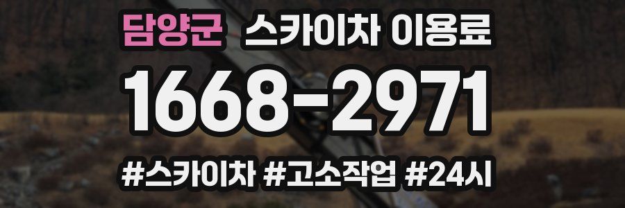담양군 스카이차 이용료