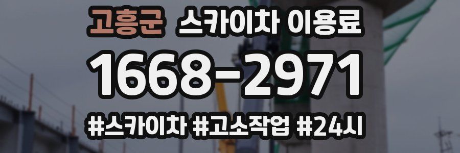 고흥군 스카이차 이용료