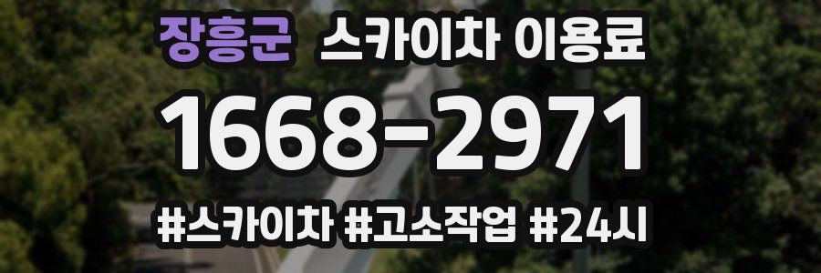 장흥군 스카이차 이용료