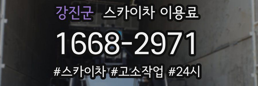 강진군 스카이차 이용료