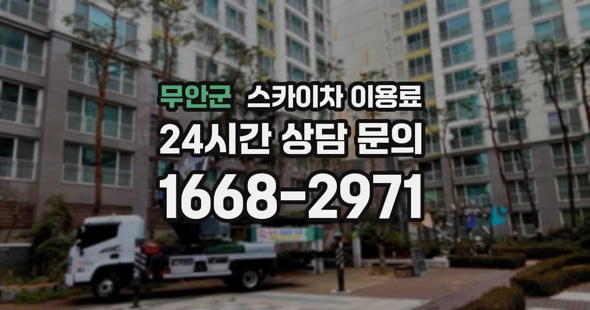 무안군 스카이차 이용료