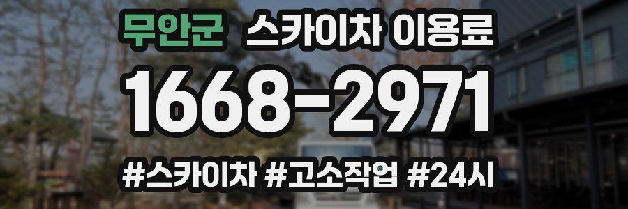 무안군 스카이차 이용료