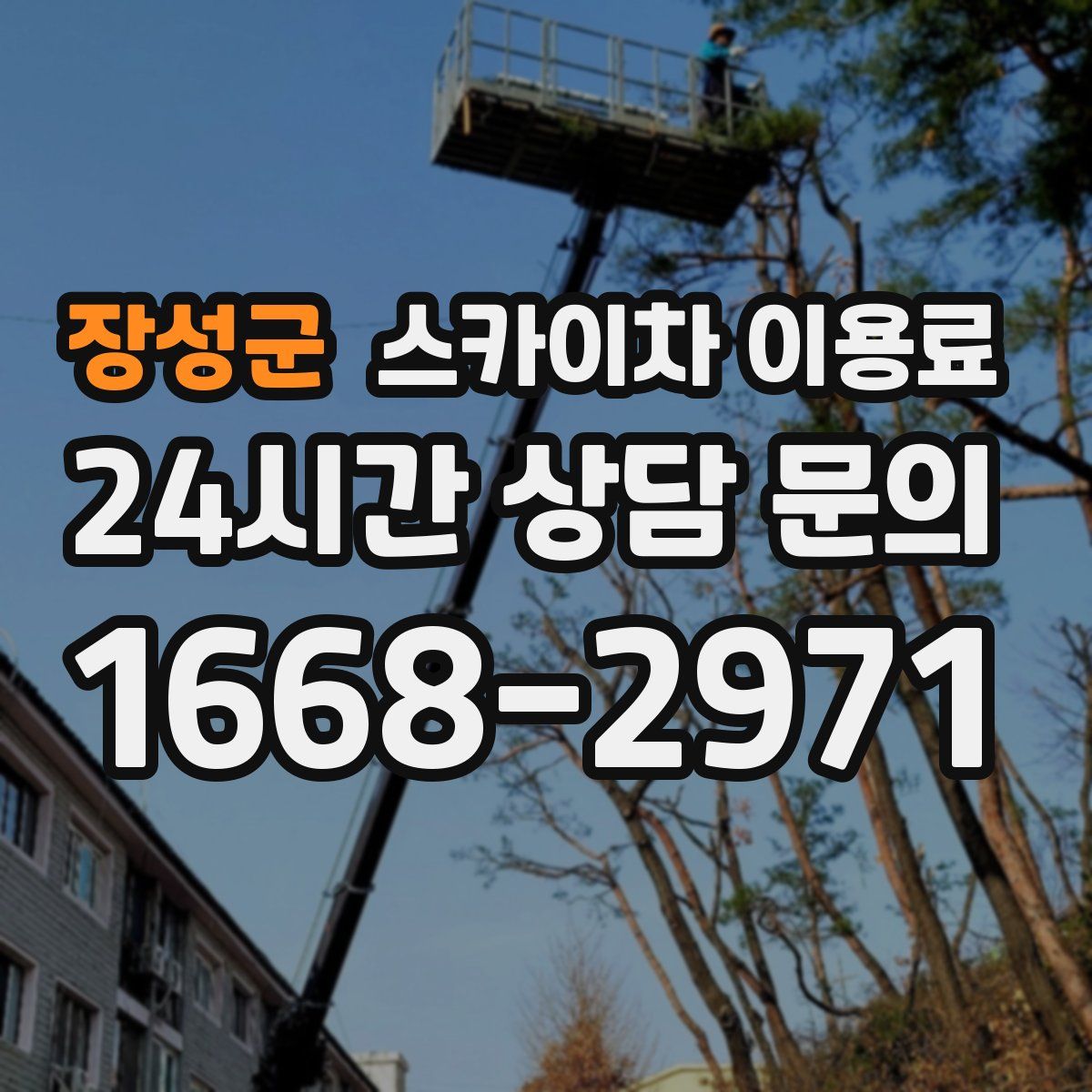 장성군 스카이차 이용료