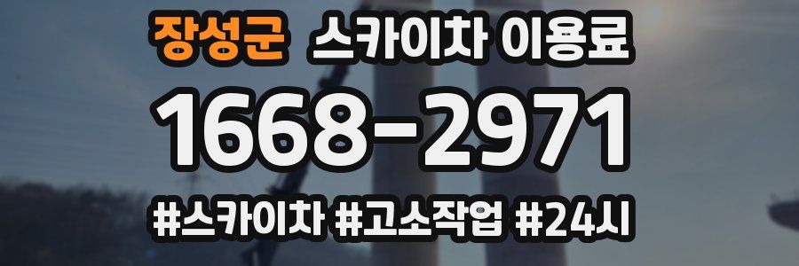장성군 스카이차 이용료