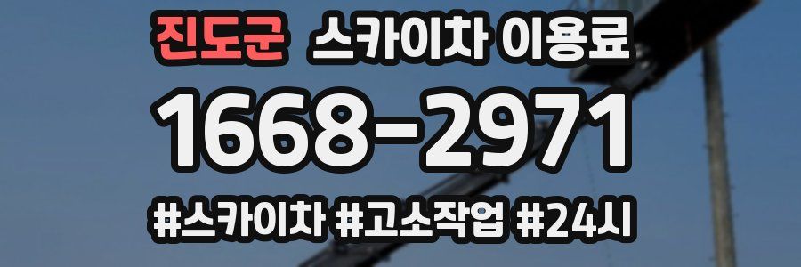 진도군 스카이차 이용료