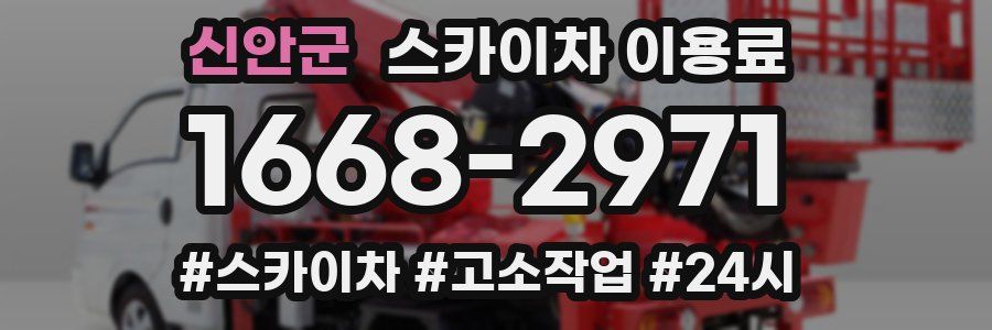 신안군 스카이차 이용료