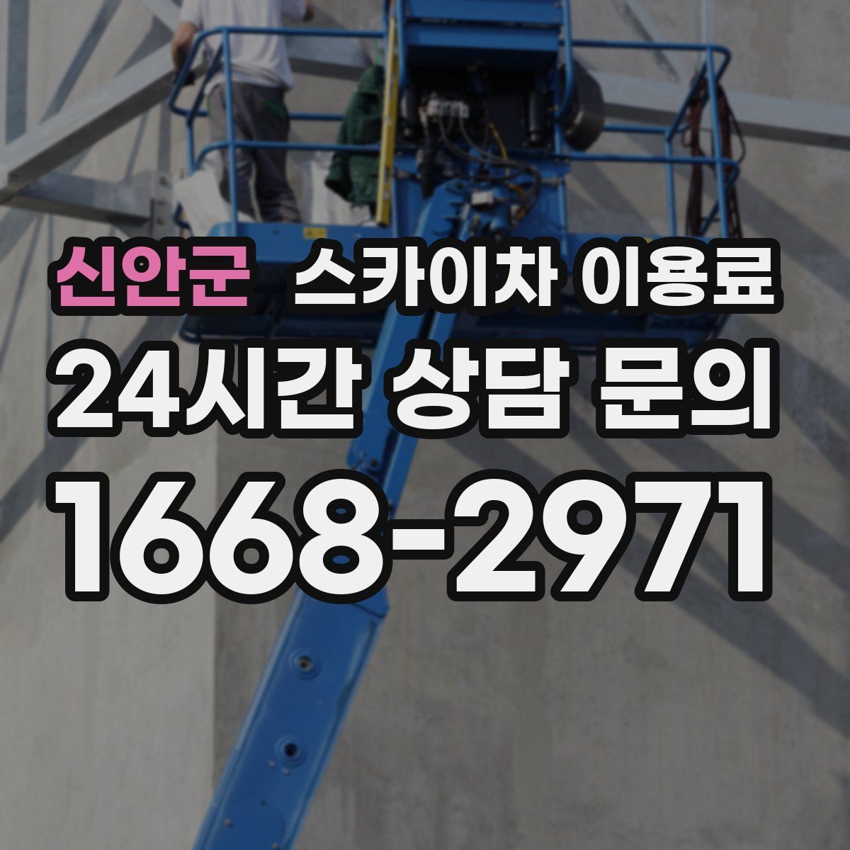 신안군 스카이차 이용료