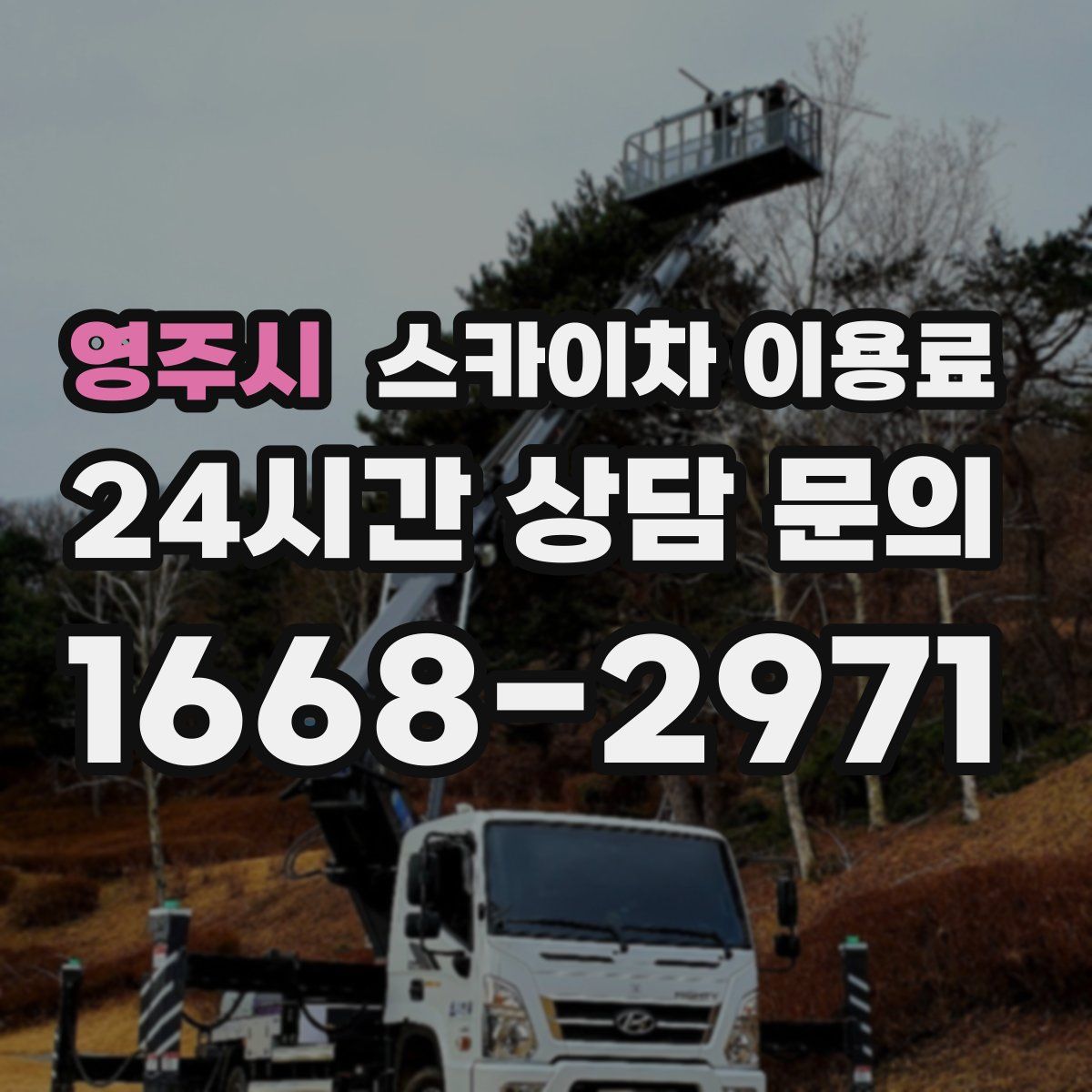 영주시 스카이차 이용료