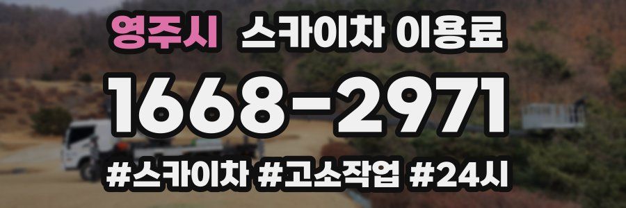영주시 스카이차 이용료