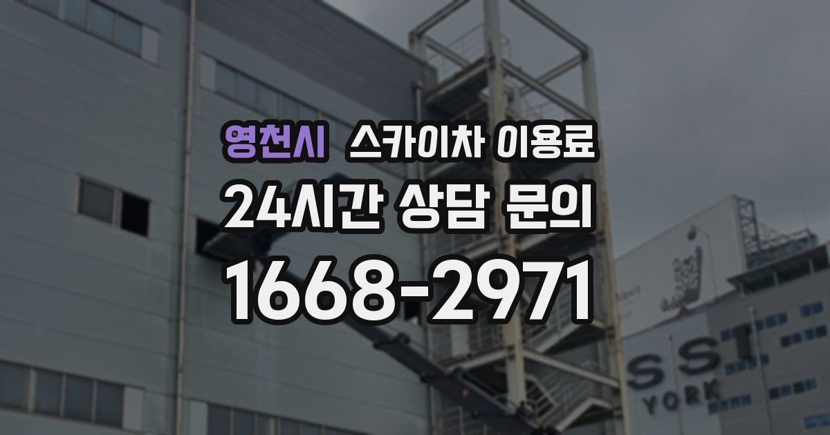 영천시 스카이차 이용료