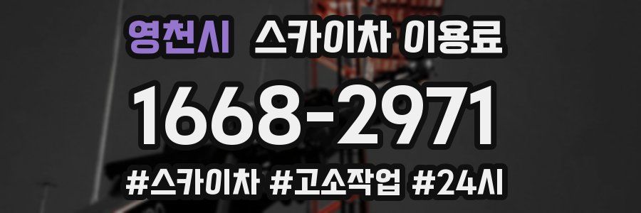영천시 스카이차 이용료