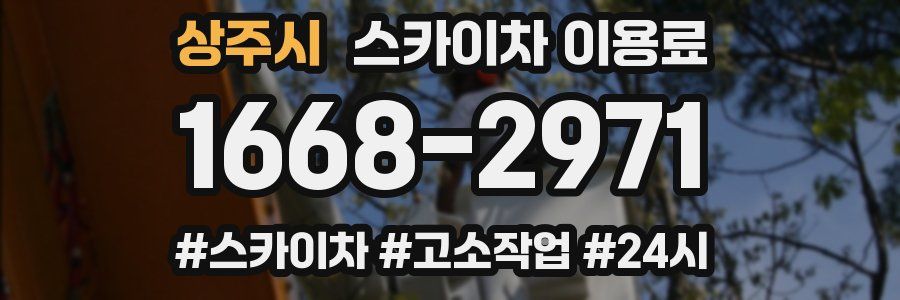 상주시 스카이차 이용료