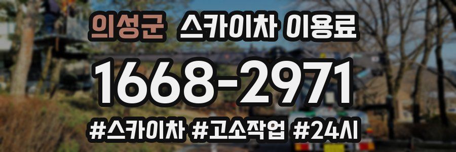 의성군 스카이차 이용료