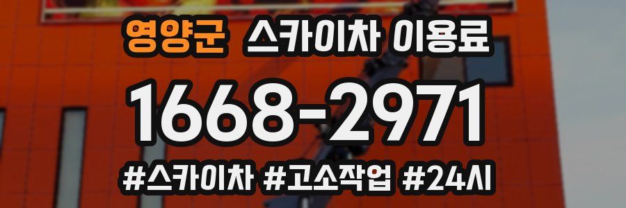 영양군 스카이차 이용료