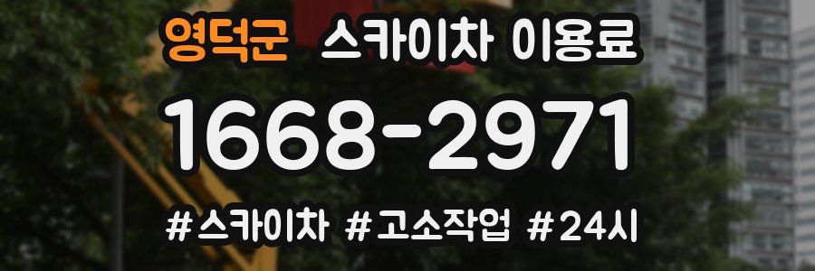 영덕군 스카이차 이용료