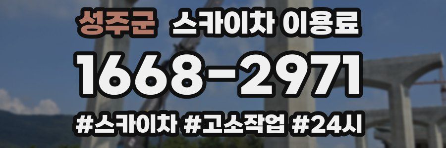 성주군 스카이차 이용료