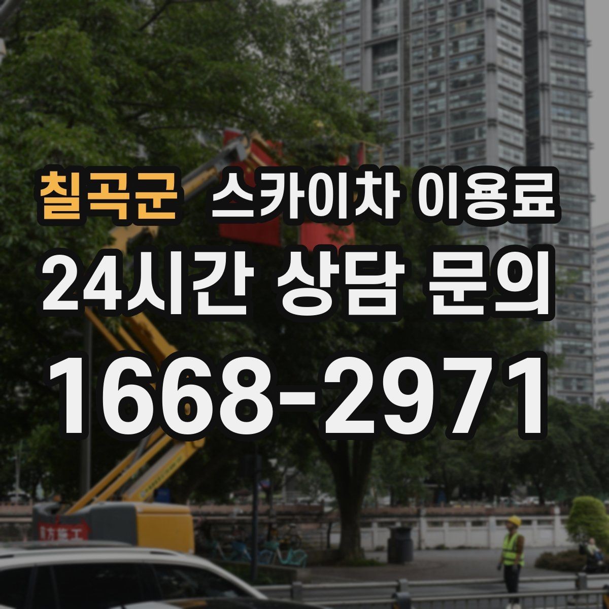 칠곡군 스카이차 이용료 확인할 때 업체별 차이 나는 지점