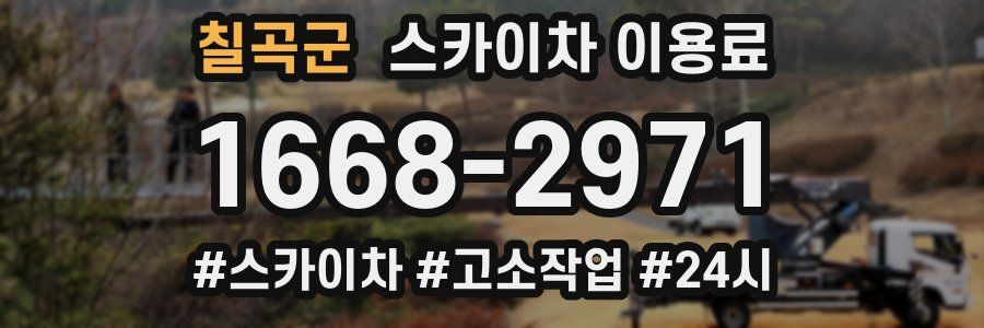 칠곡군 스카이차 이용료