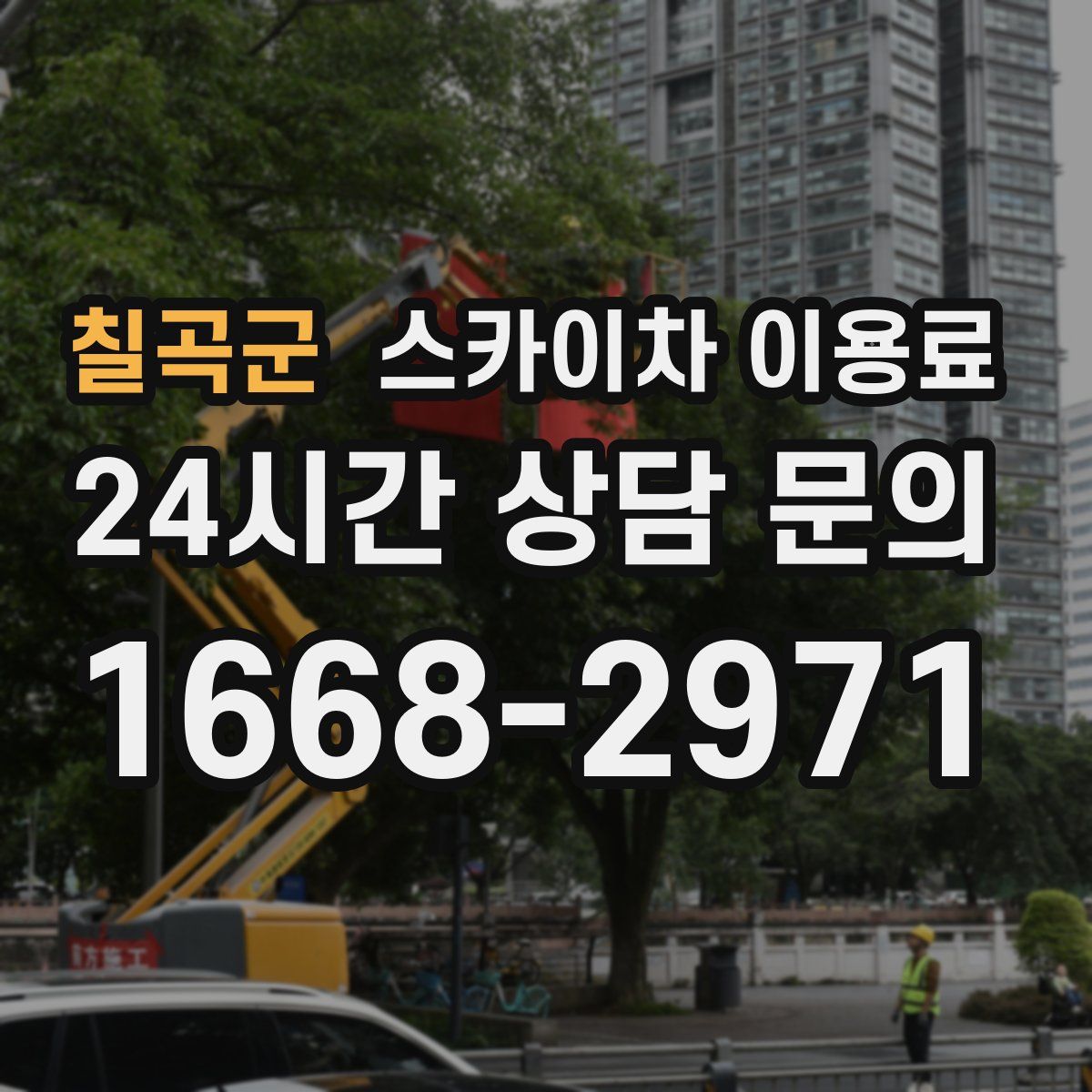 칠곡군 스카이차 이용료