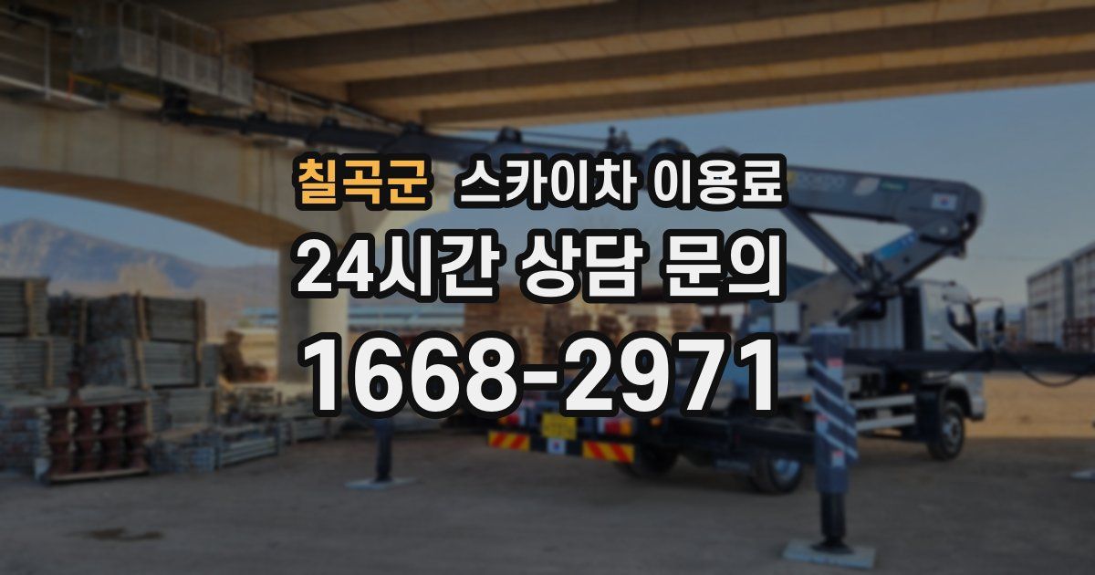 칠곡군 스카이차 이용료