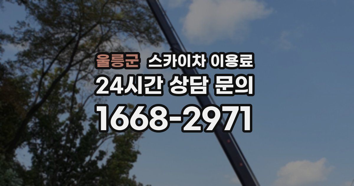울릉군 스카이차 이용료