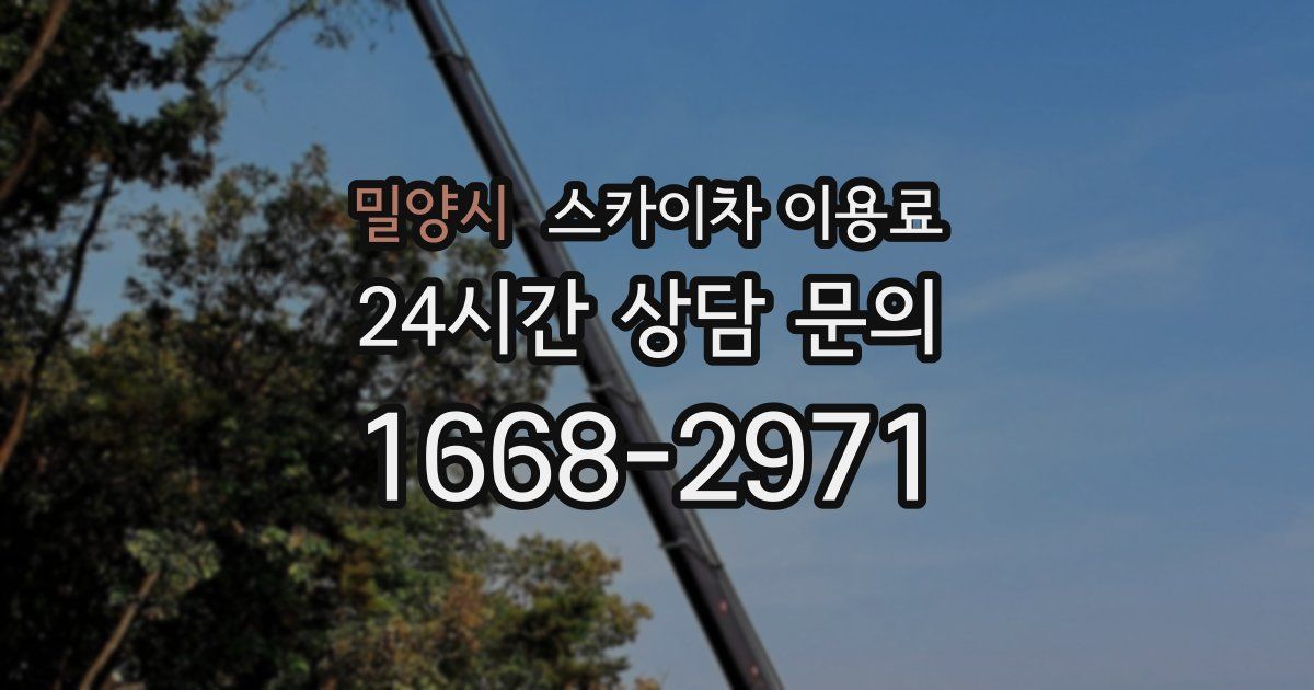 밀양시 스카이차 이용료