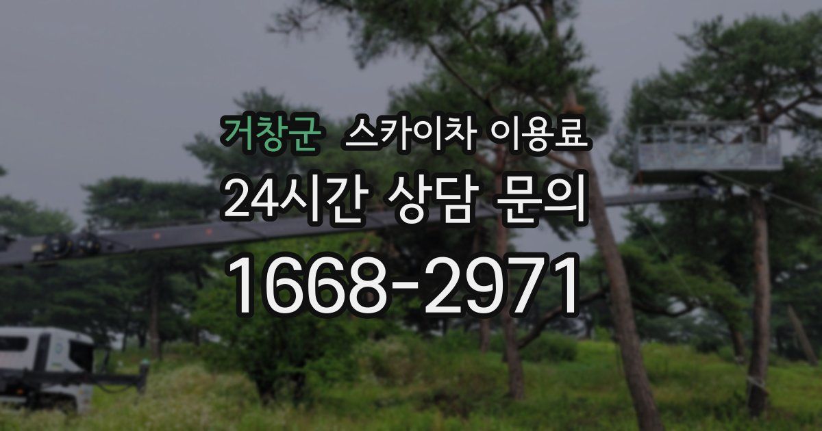 거창군 스카이차 이용료