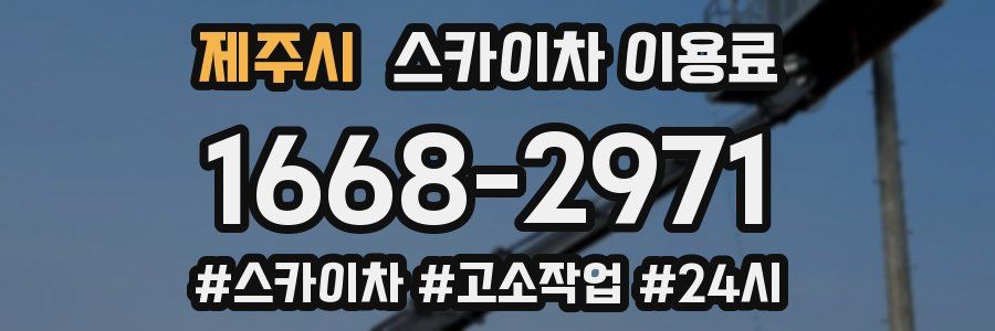 제주시 스카이차 이용료