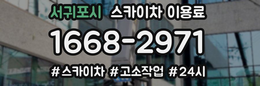 서귀포시 스카이차 이용료