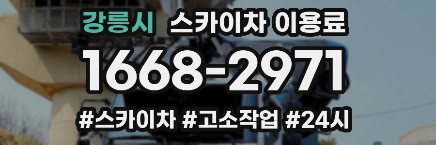 강릉시 스카이차 이용료