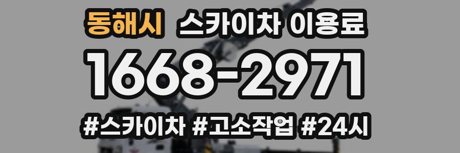 동해시 스카이차 이용료