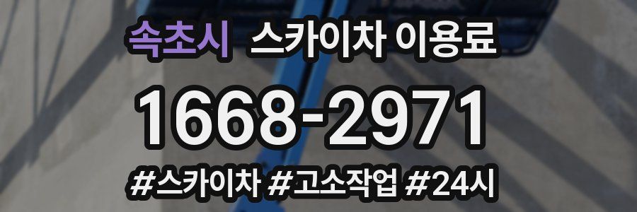 속초시 스카이차 이용료