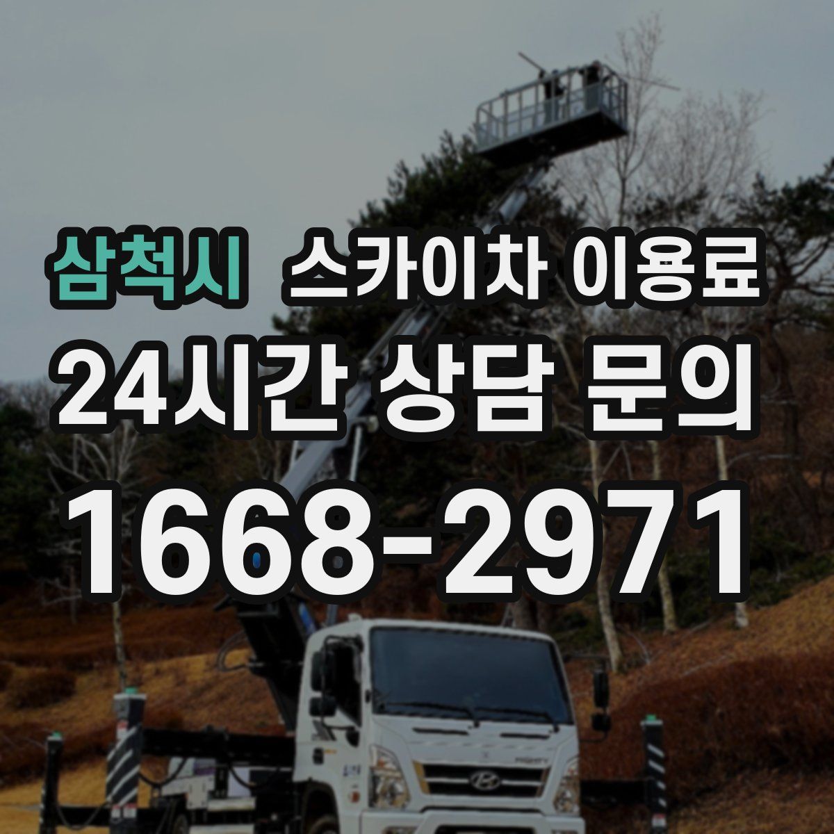 삼척시 스카이차 이용료