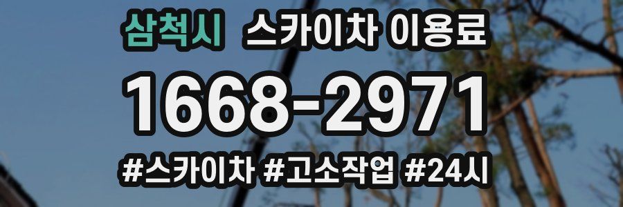 삼척시 스카이차 이용료