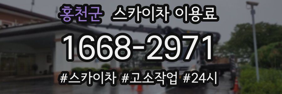 홍천군 스카이차 이용료
