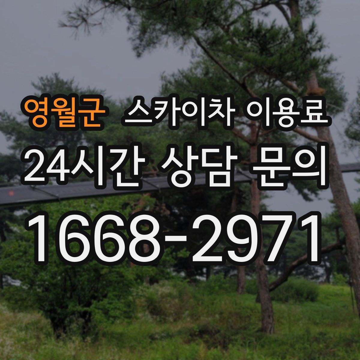 영월군 스카이차 이용료