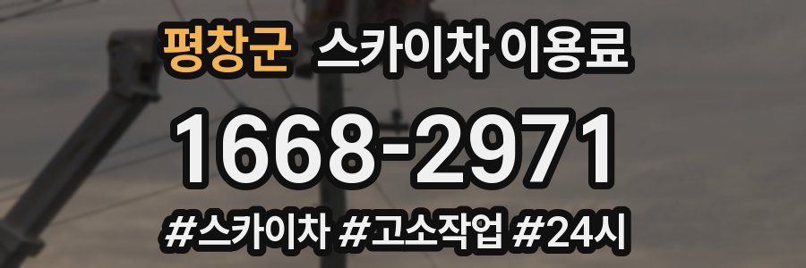 평창군 스카이차 이용료