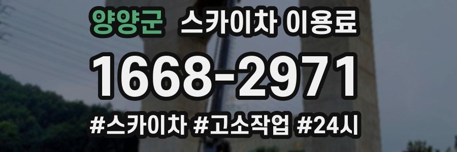 양양군 스카이차 이용료